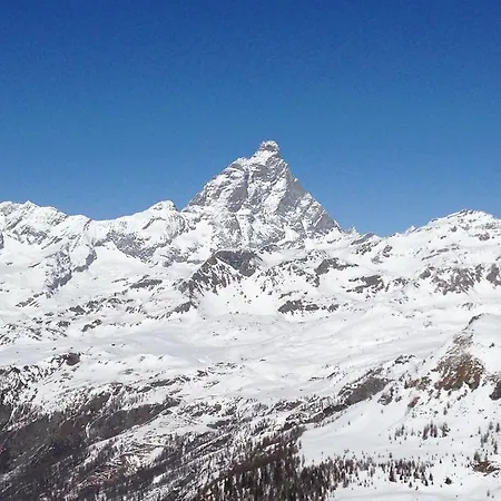 酒店 拉罗卡斯波特斑纳斯里酒店 3*