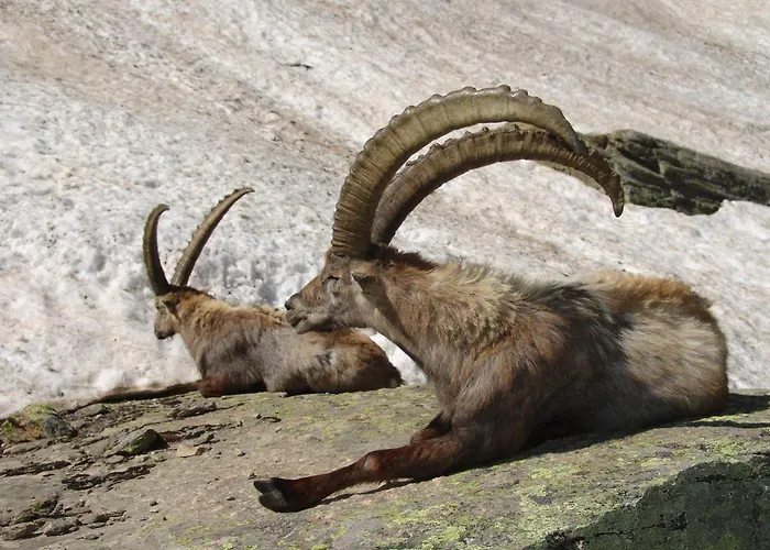 La Rocca Sport & Benessere